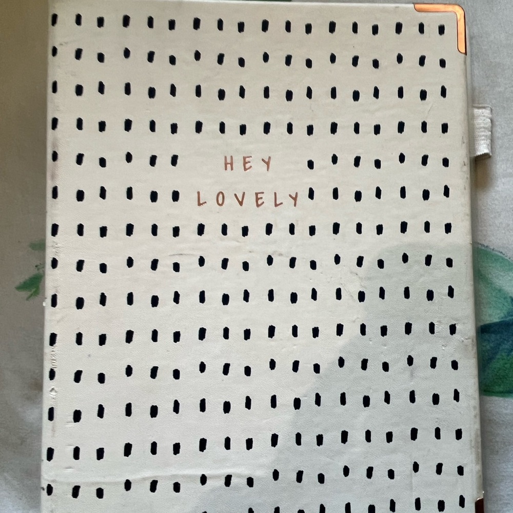 Hey Lovely Polka Dot Binder Folder Holder Notebook Cute Office Supplies